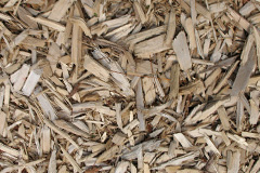 biomass boilers Grafton